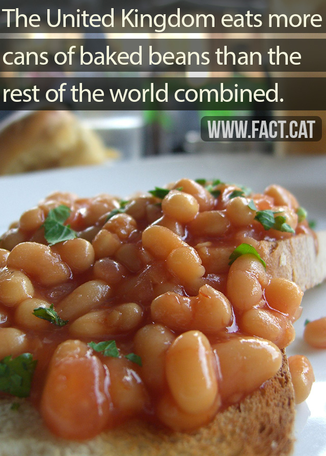 » Which country consumes the most baked beans?