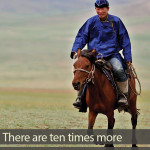 How many horses are there in Mongolia?