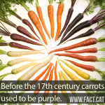 What color did carrots used to be?