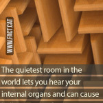 The quietest room in the world