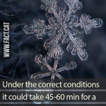 How long does it take for a snowflake to fall to the ground?
