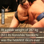 Who was the heaviest rikishi ever in sumo?
