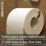 How many trees are used to make toilet paper?