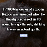 FBI gorilla