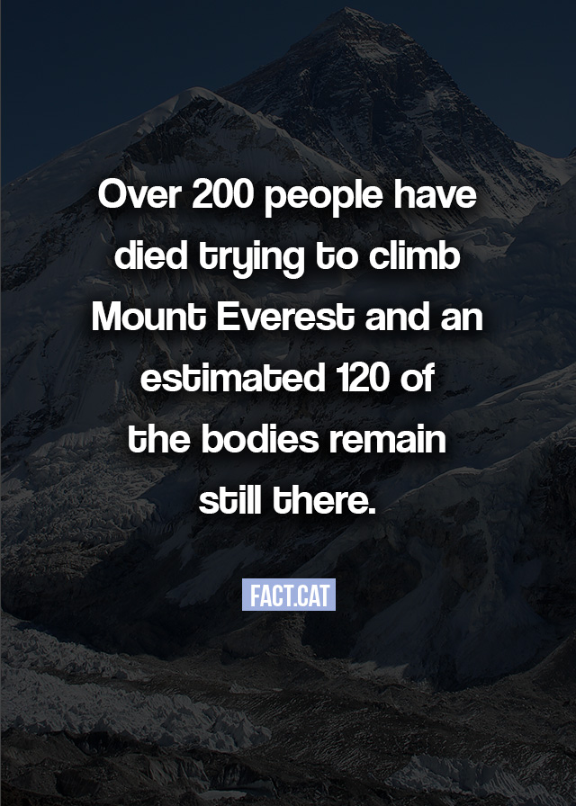 » How many people have died trying to climb Mount Everest?