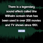 What is the Wilhelm scream?